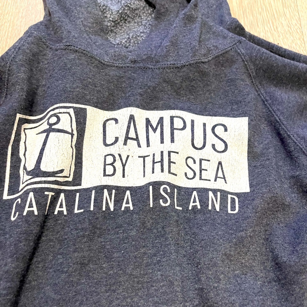 Comfy grey hoodie